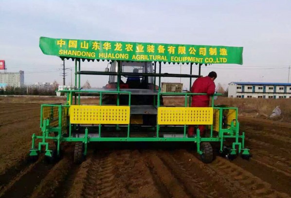 構(gòu)樹、桑樹、樹苗移栽機(jī)