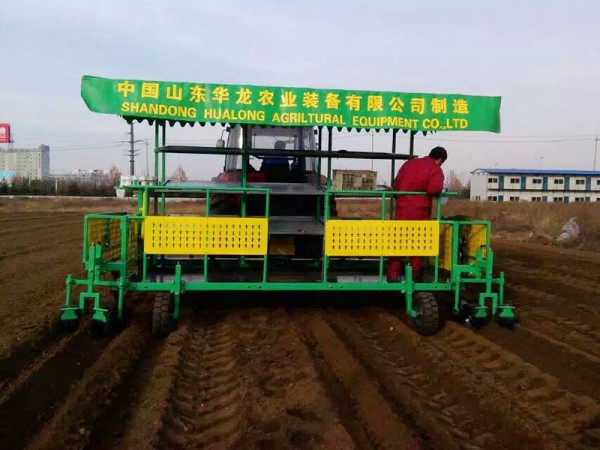 構(gòu)樹(shù)、桑樹(shù)、樹(shù)苗移栽機(jī)